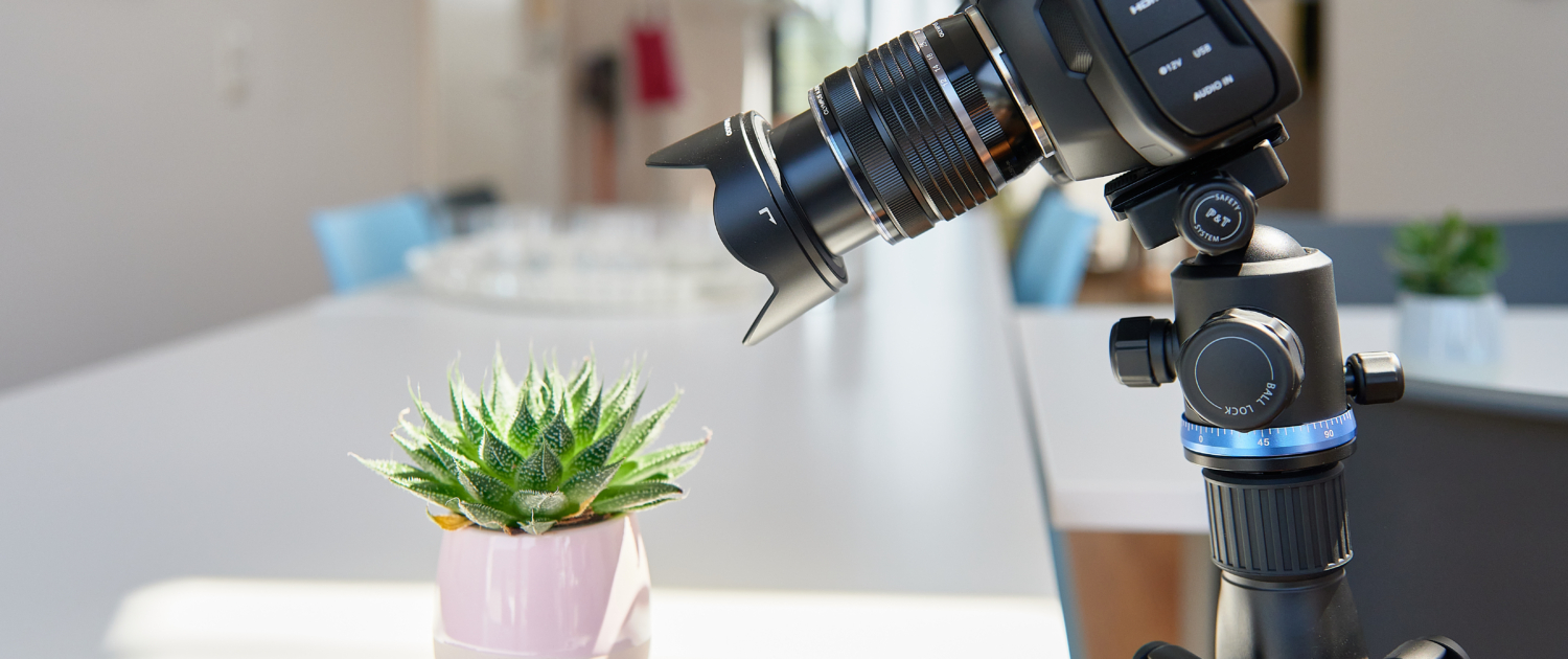 COMING HOoomm Zirkus